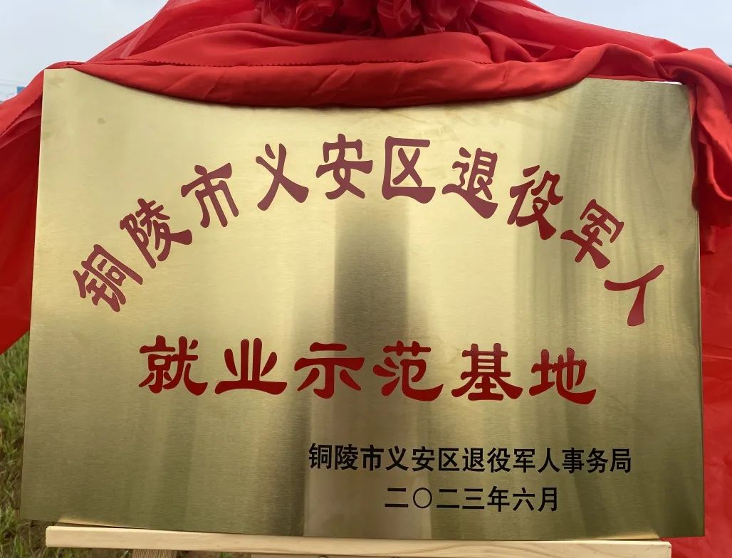 J9国际站备用【唯一】官方网站
